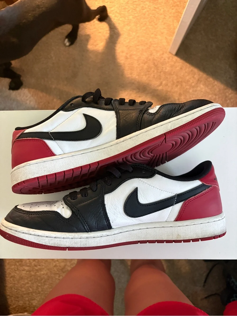 Jordan 1 Low Black Toe